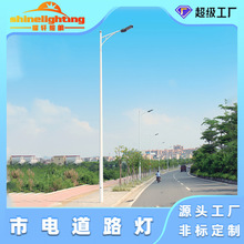 市电路灯杆单双挑臂灯杆定制9米10米12米路灯杆led市电路灯