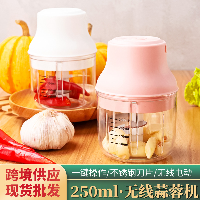 现货直供家用电动蒜泥机蒜蓉机捣蒜器姜蓉器迷你料理机宝宝辅食机