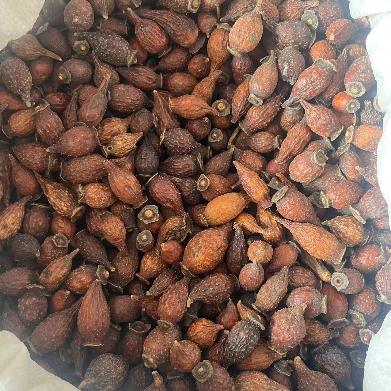 方式新奇创意项目不报名抗氧化作用:金樱子中含有丰富的多酚类化合物