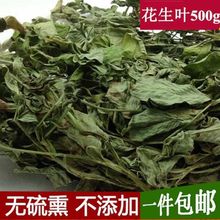 花生叶 新货 花生叶茶 落花生叶子果番豆磨花生叶粉农家