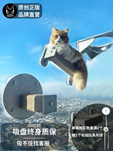 天空猫墙吸盘玻璃太空舱猫爬架免打孔透明猫窝吊床宠物用品