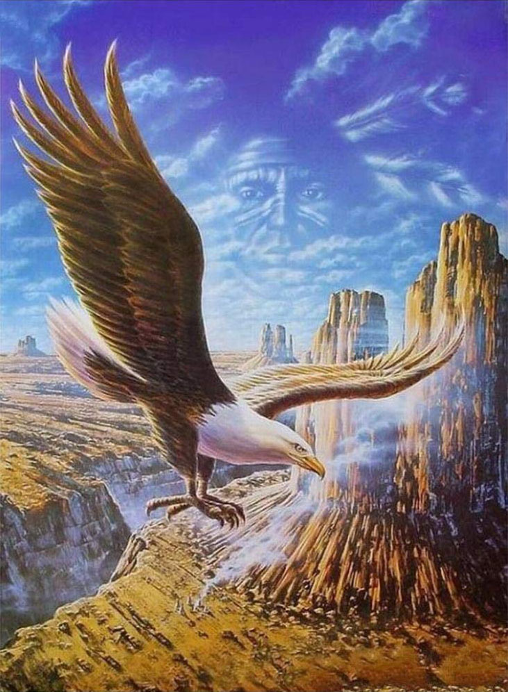 亚马逊货源amazon5d跨境外贸热销天空翱翔老鹰部落高山diy贴钻画