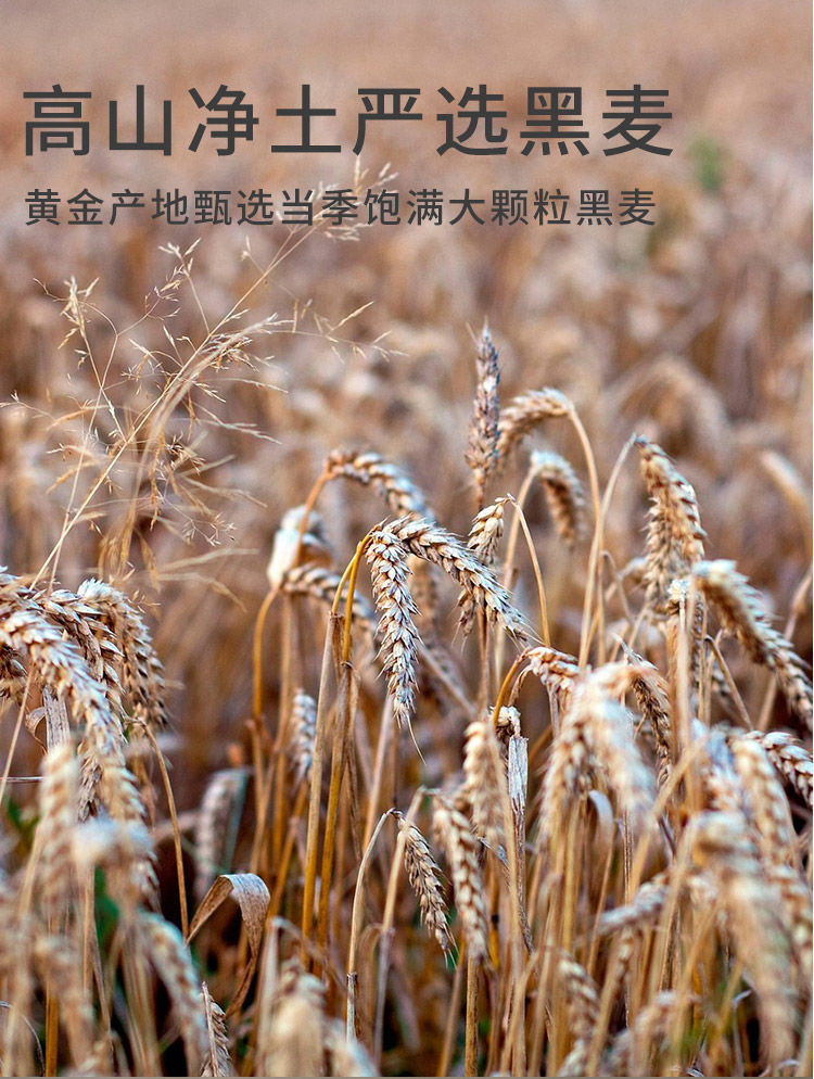 全麦面粉黑麦黑麦含麦麸家用低筋麦馒头杂粮麦黑小麦粉亚马逊批发