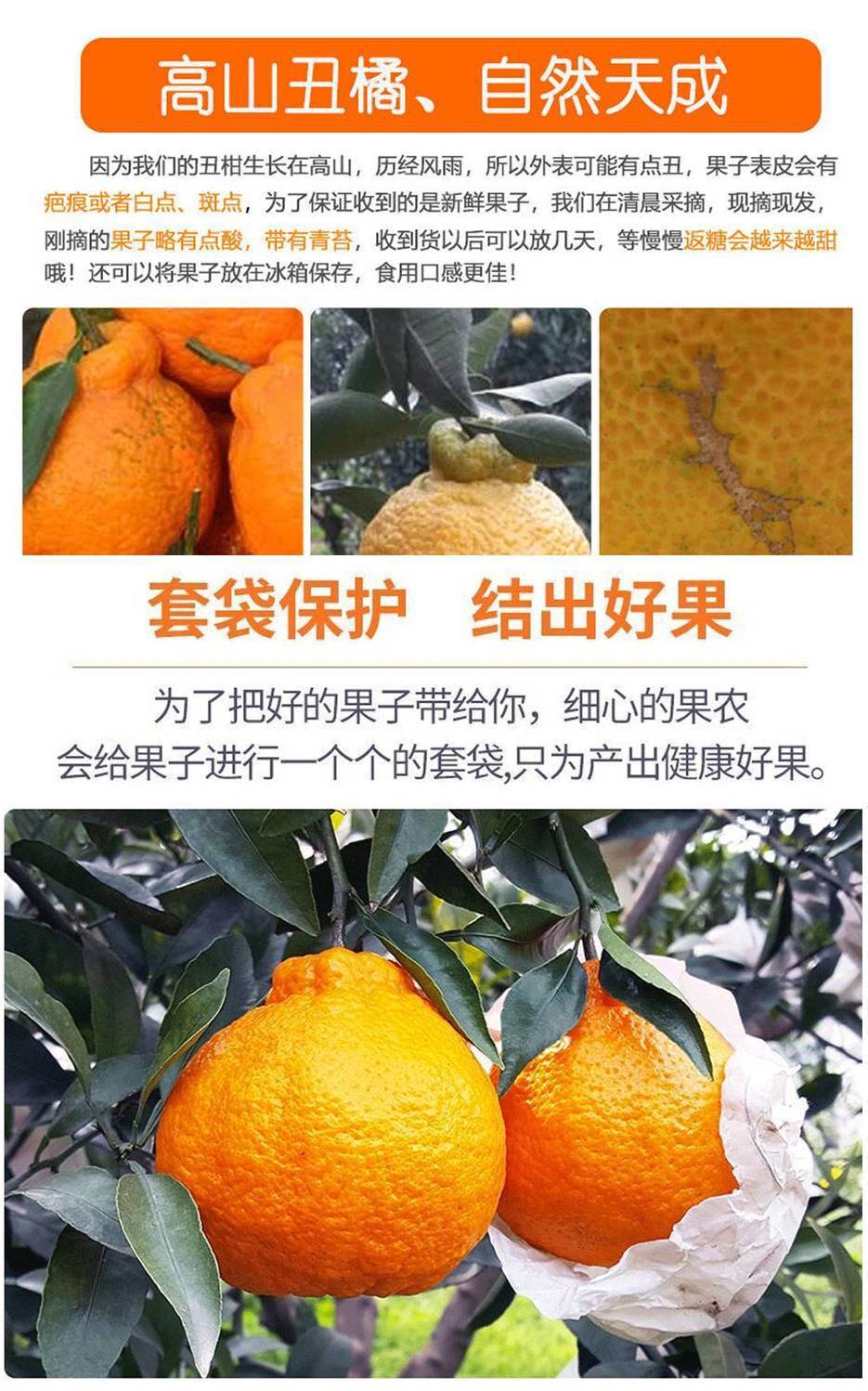 四川丑橘不知火丑柑丑八怪橘子新鲜孕妇水果当季桔子柑橘丑桔批发