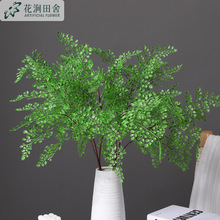 仿真植物背景墙草坪插花 绿植塑料叶子餐厅客厅装饰蕨类假花草