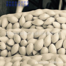 银杏种子白果种子植物种子育苗亩用量150公斤中国银杏之乡