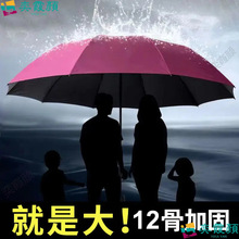 十二骨超大号雨伞大号三折叠男女商务伞三人睛两用抗暴风雨太阳伞