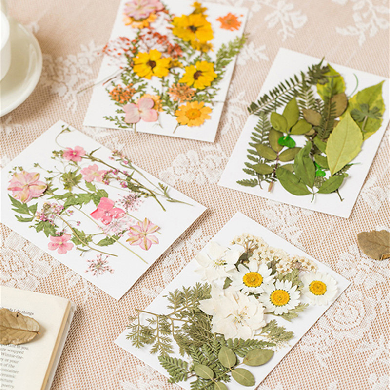 Exclusive for Cross-Border Dried Flower Embossing Epoxy Decals Painting Plant Specimen Handmade DIY Material Package Embossing in Stock Wholesale