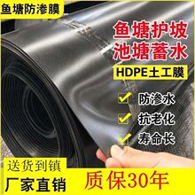 【10米】全新料加厚鱼塘防渗膜鱼池护坡膜蓄水池藕池化粪池专用.