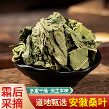 包邮材 桑叶干 野生霜后桑叶 桑叶粉 桑叶茶 新鲜散装干货500