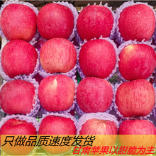 甘肃静宁苹果红富士10斤脆甜水果新鲜整箱当季糖心精品大果18颗装