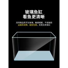 超白热弯玻璃鱼缸客厅小型家用金鱼水族箱造景生态长方形乌龟裸缸