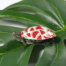 【配龟缸】七彩小乌龟宠物龟活体大小巴西龟网红手提缸炫彩龟批发