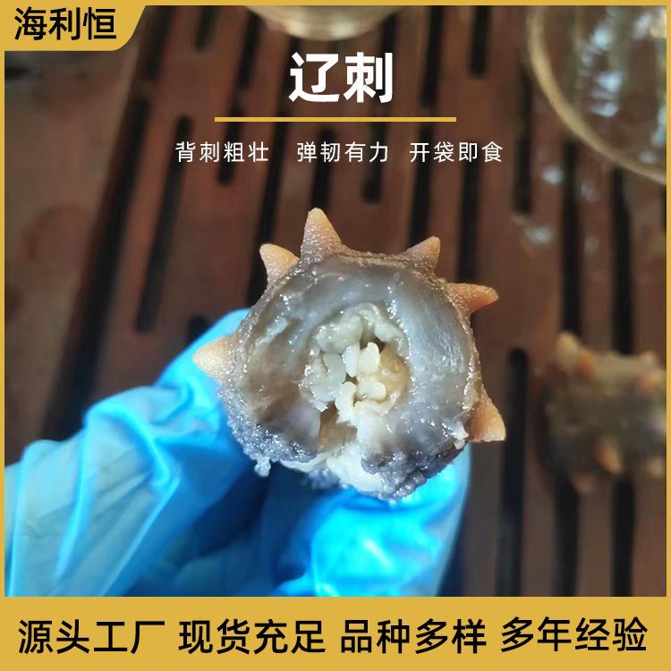 即食海参大连辽刺参鲜参非干货冷冻即食海参500g水产品海参-阿里巴巴