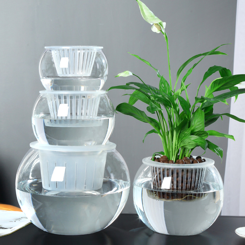 水培植物玻璃瓶透明水养绿萝花瓶花盆大号玻璃圆球形鱼缸器皿容器