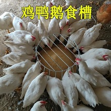 鸭鹅养殖设备小鸡料食槽鸭鹅牛筋饲料槽喂食器喂鸡自动下料桶鸽子