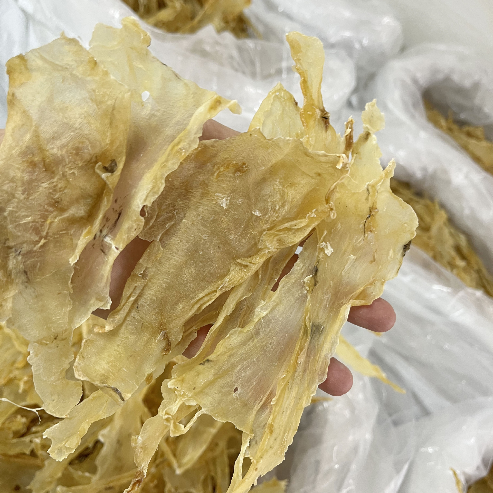 花胶批发 鱼胶 海味干货 花胶即食 鱼胶一手货源送礼补品全国代发