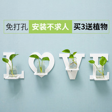 壁挂花瓶水培植物玻璃花瓶件花盆创意墙面小清新绿植绿萝装饰花架