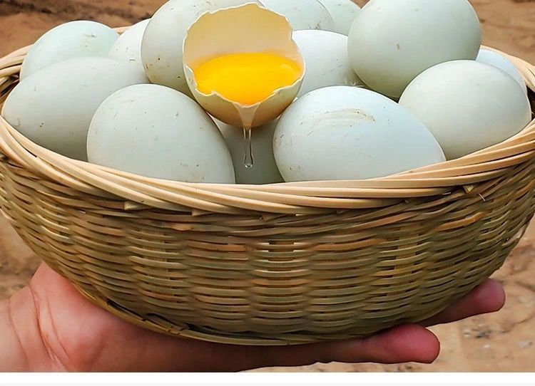 新鲜鸭蛋大个土鸭蛋农家湖散养70g土鸭蛋笨鸭蛋青皮绿皮乡下批发