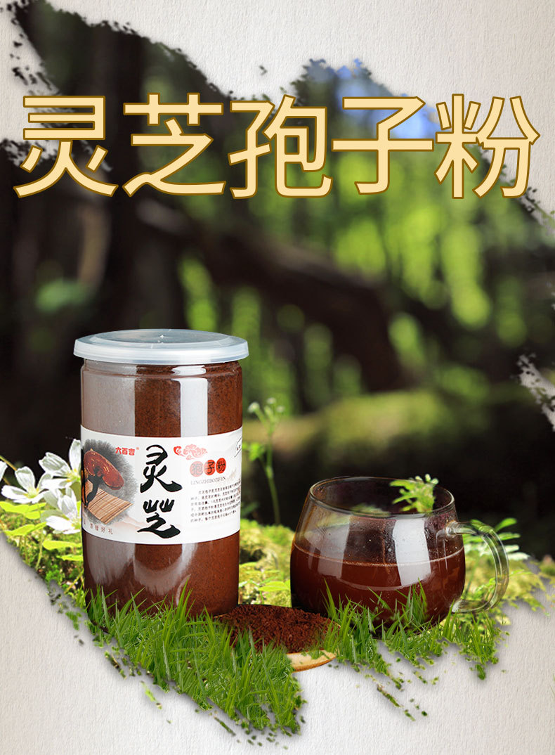 灵芝孢子粉 长白山特产250g 厂家批发东北特产赤芝 孢子粉