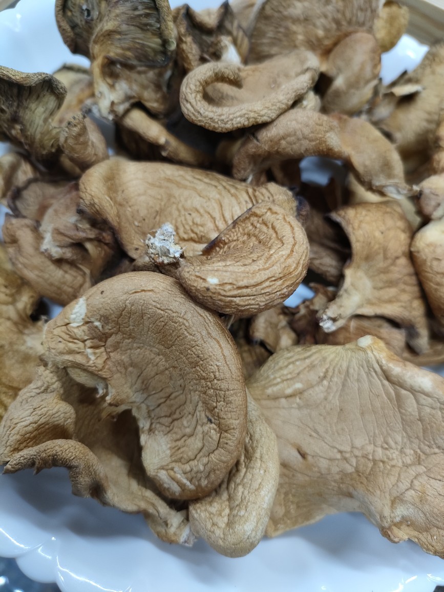 0成交17件东北大兴安岭新产野生榛磨干蘑菇500克包邮￥68.