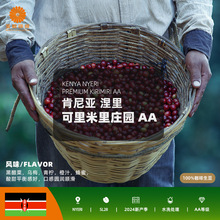 金粽咖啡肯尼亚进口涅里可里米里庄园AA精品咖啡生豆2024新产季