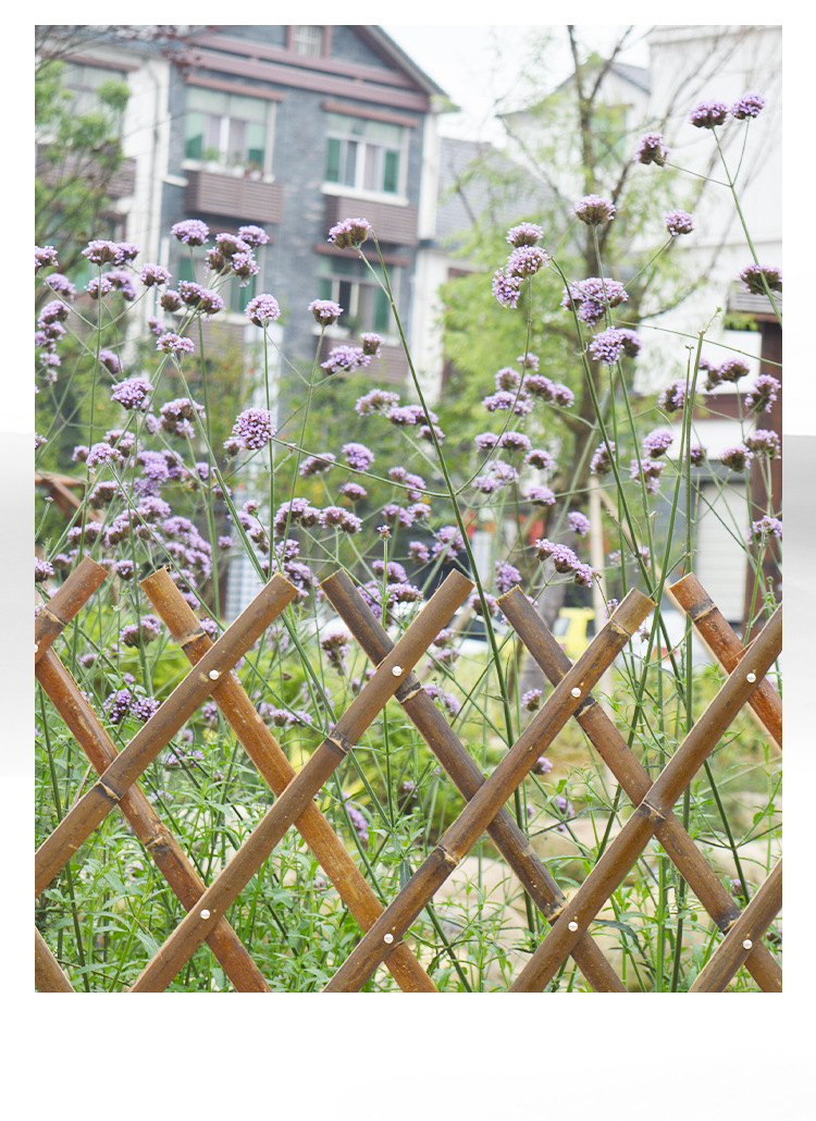 竹篱笆门菜园栅栏跳舞田园家用种菜爬藤材料围栏菜架屏风室外菜地