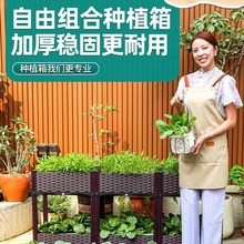 家庭阳台种菜蔬菜种植箱长方形塑料花盆楼顶花箱户外庭院