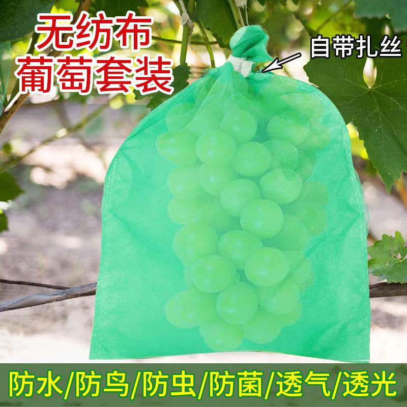 批发扎丝葡萄套袋绿色阳光玫瑰专用透气防鸟无纺布葡萄袋水果套袋