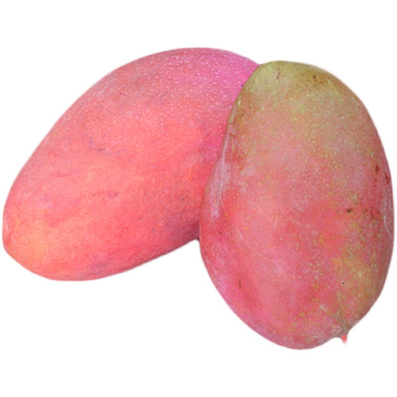 海南特大芒果应季新鲜时令热带现发水果三亚红玉芒玉文芒净果10斤