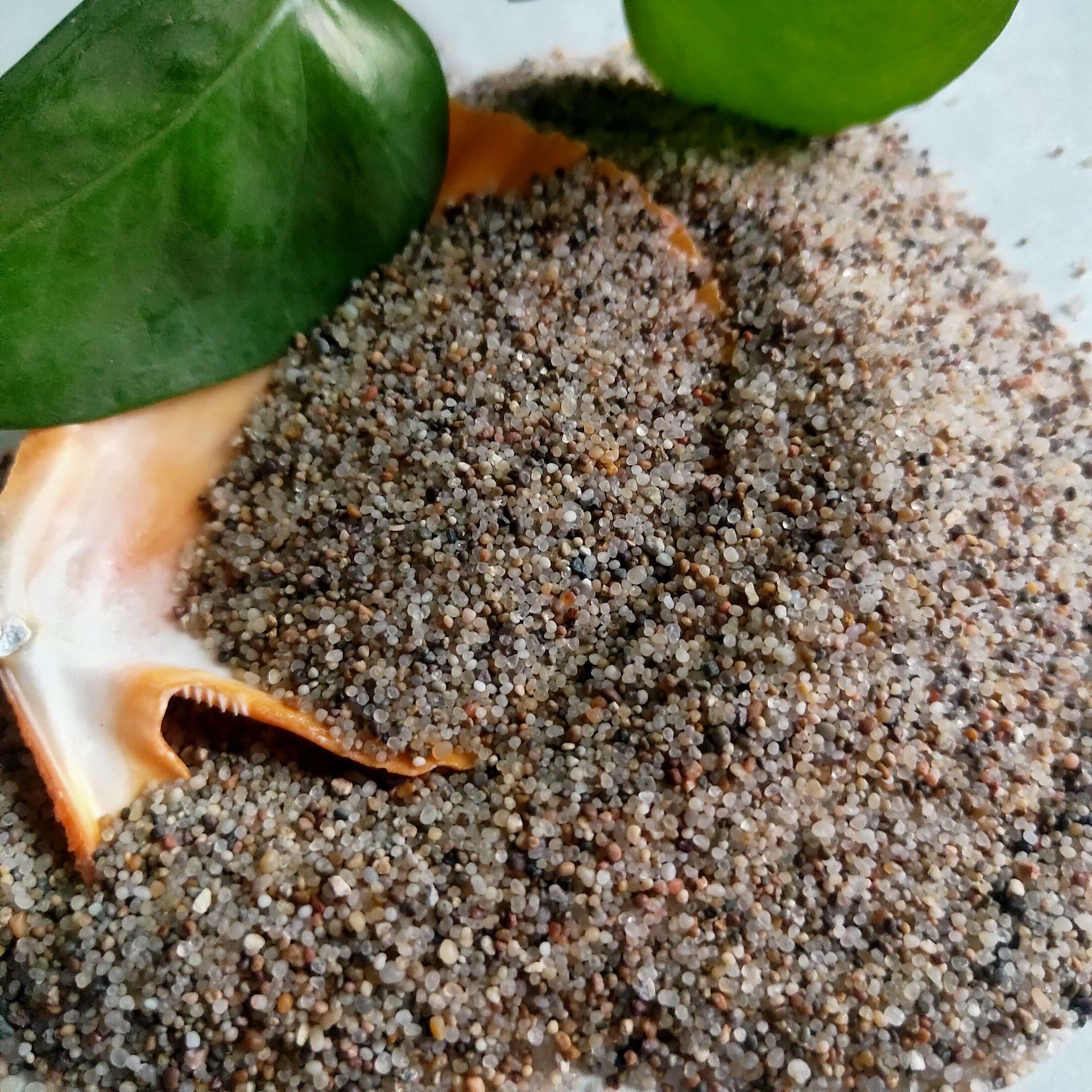 海砂厂家现货供应圆粒海砂儿童娱乐沙池砂景区造景砂水族鱼缸底砂