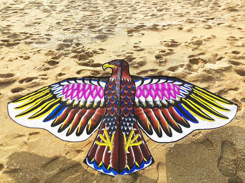 潍坊三角驱鸟大老鹰风筝批发 好飞多款 亮布 热印 广场地摊亲子玩