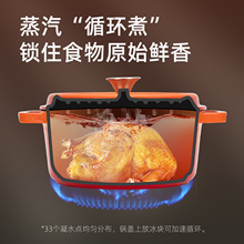 WT2U铸铁珐琅锅家用炖锅炖盅汤锅砂锅焖烧锅不粘煮锅电磁炉燃气灶