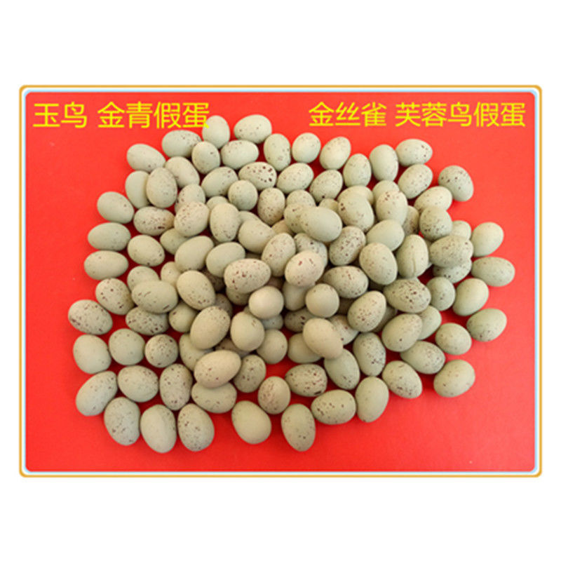 鸟假蛋替蛋玉鸟芙蓉鸟文鸟十姐妹珍珠鸟灰燕金青金丝雀大金黄