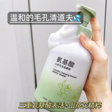 碧素堂山茶花氨基酸洗面奶控油去黑变白卸妆化妆品洁面乳厂家直销