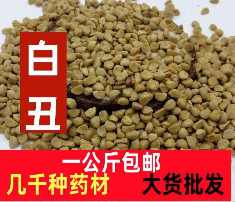 白丑云南野生中药材白丑 喇叭花子 牵牛子一公斤黑白二丑 包邮