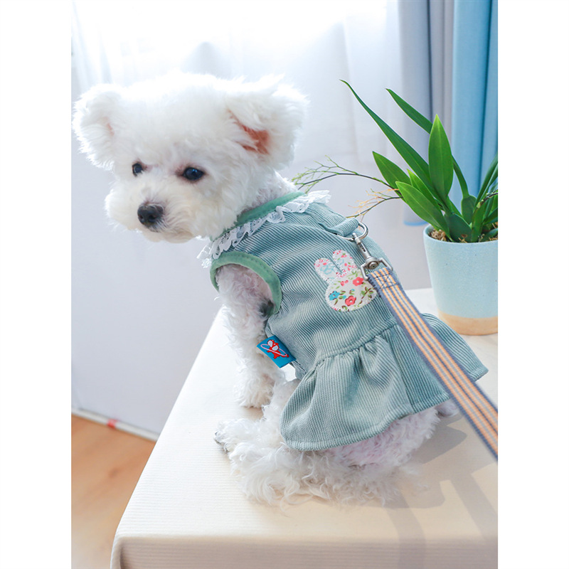 宠物狗狗衣服比熊博美泰迪春秋款牵引绳贵宾裙子小型犬春装连身裙