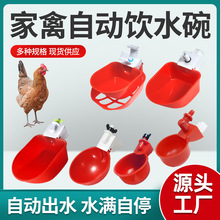 跨境鸡用饮水器鸡鸭鹅水碗鸡用饮水嘴喝水槽十字饮水器鸽子喂水器
