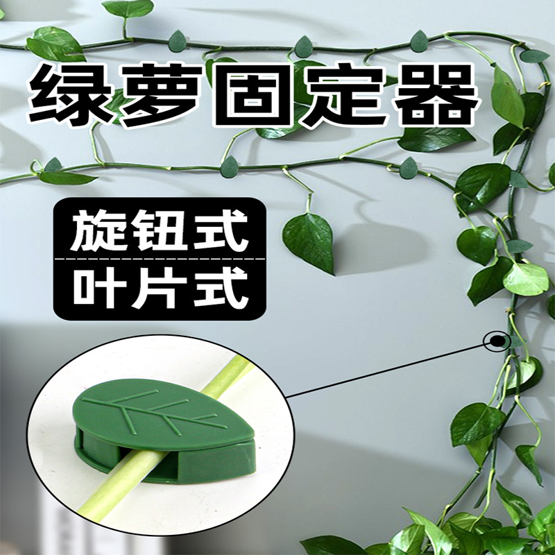 【厂货直供】树叶款绿萝固定器绿植爬墙神器墙面葫芦西瓜藤蔓固定