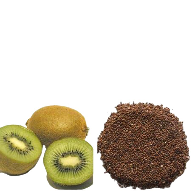 猕猴桃种子 猕猴桃树苗种子 红心猕猴桃徐香 楚红猕猴桃 奇异果