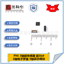 RM2100套件13156×1个13104×2个磁感应式两轴地磁传感器PNI