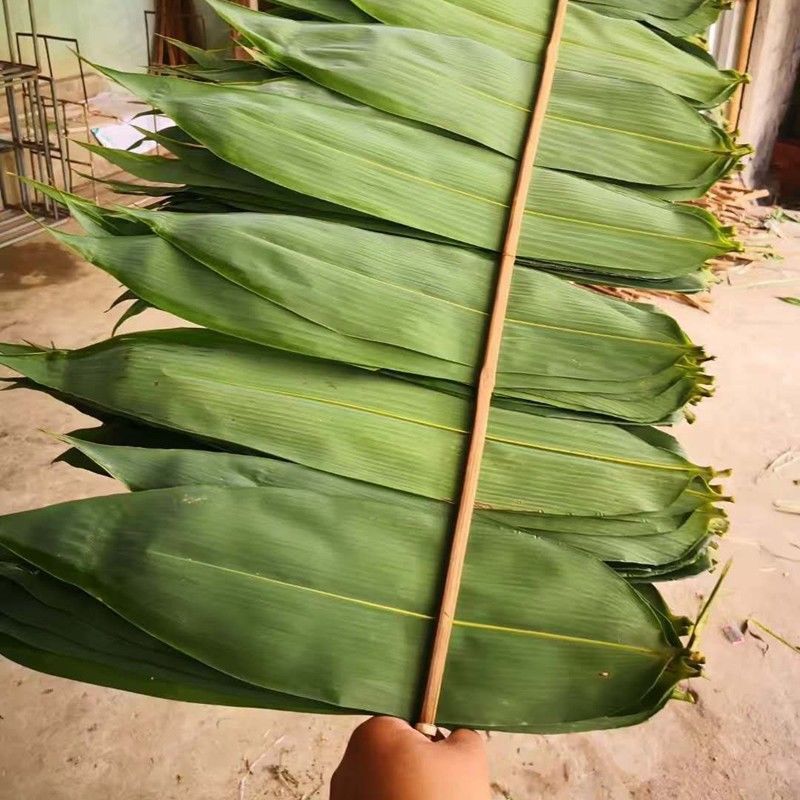 干粽叶广东野生新鲜大粽子天然粽子竹叶麻叶5斤装免邮独立站厂家
