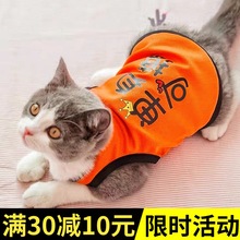 猫咪衣服防掉毛夏季狗狗搞笑背心透气小猫猫蓝猫幼猫可爱宠物用竹