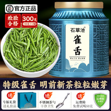 2024新茶雀舌绿茶嫩芽茶叶毛尖春茶特级明前浓香竹叶散装300g罐装