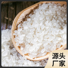 东北小町米10斤当季新米东北大米黑龙江珍珠米5kg秋田小町香米