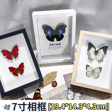 真蝴蝶标本展翅昆虫装饰品手工收藏学生创意生日礼物可摆可挂相框
