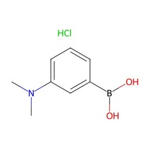 3-二甲氨基苯硼酸盐酸盐（含有不等量酸酐）  CAS: 1256355-23-3