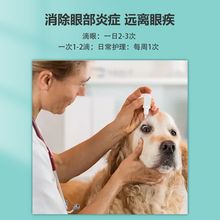 窝喵猫鼻支滴眼液杯状病毒结膜炎眼屎泪痕打喷嚏流脓猫咪眼药水