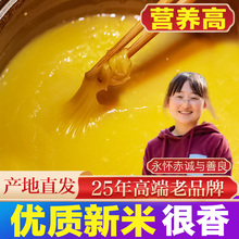黄小米新米陕北农家五谷杂粮粗粮陕西米脂小黄米小米粥