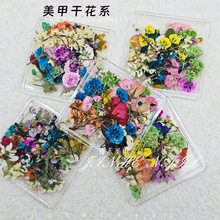 日式ins风美甲干花清新迷你彩色浪漫小花碎花百搭手工diy指甲饰品